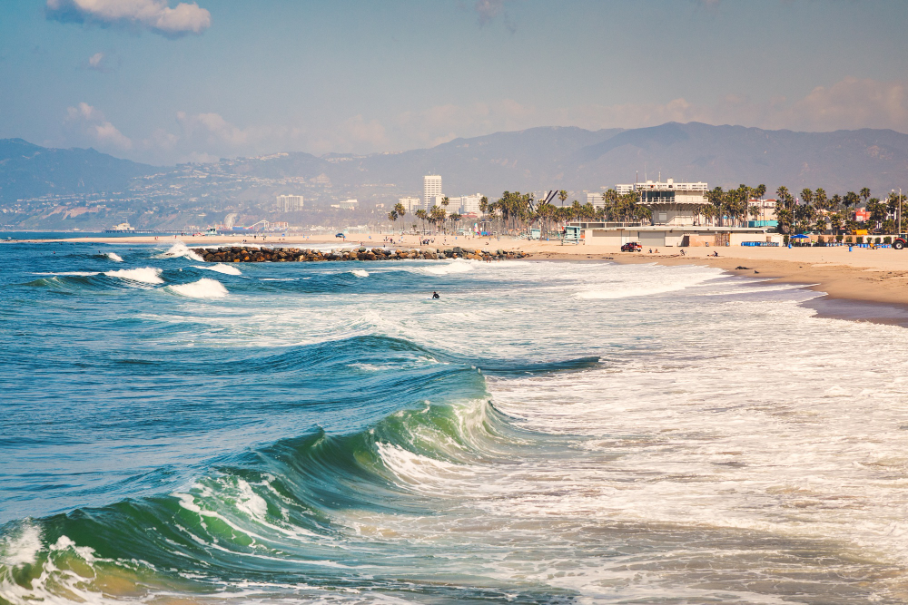 Meet the Thrive Wellness Team in San Diego, CA